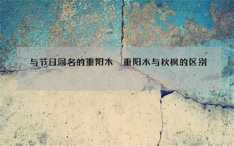 与节日同名的重阳木 重阳木与秋枫的区别